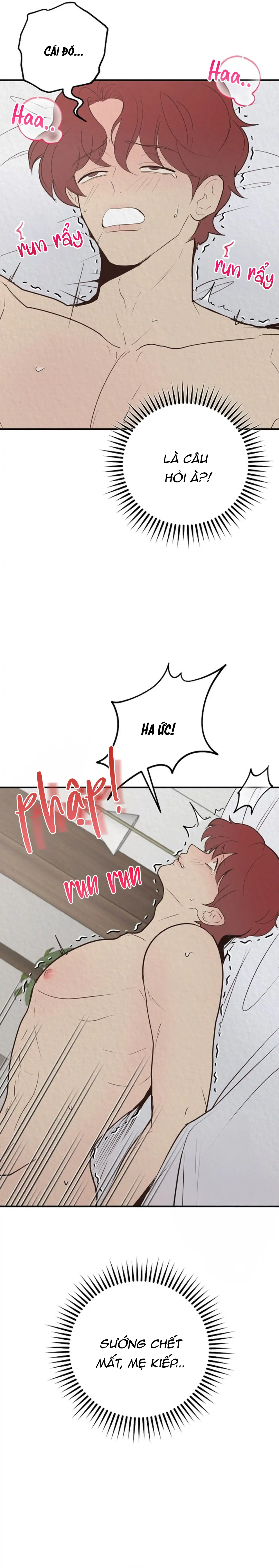 Đội Phát Triển Chapter 3 H++ - Trang 2