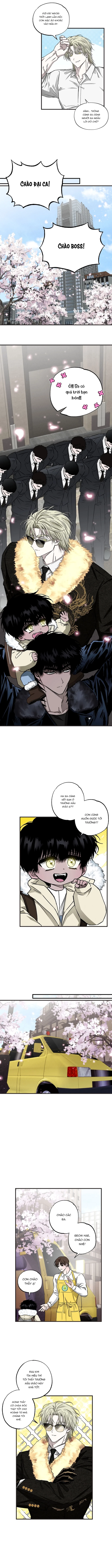 Mây Theo Rồng, Gió Theo Hổ Chapter 4 - Trang 2