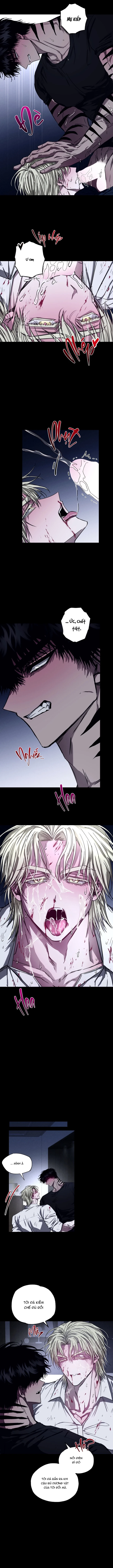 Mây Theo Rồng, Gió Theo Hổ Chapter 5 H+ - Trang 2