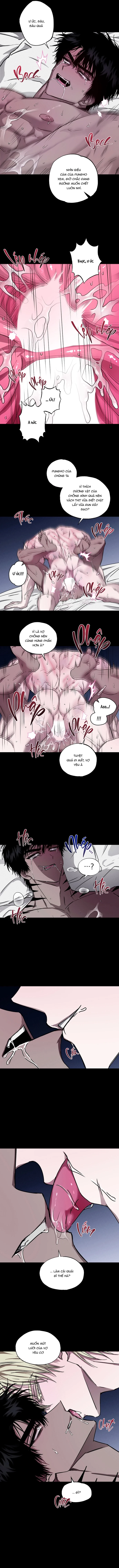 Mây Theo Rồng, Gió Theo Hổ Chapter 6 H++ - Trang 2