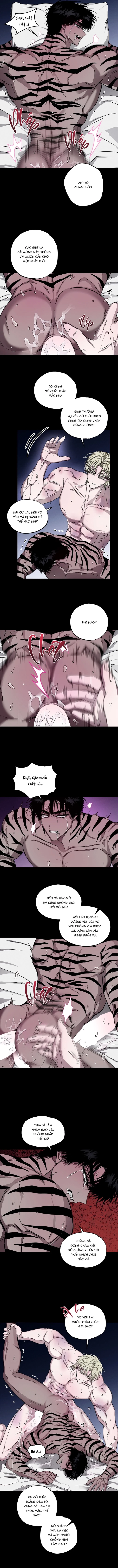 Mây Theo Rồng, Gió Theo Hổ Chapter 6 H++ - Trang 2