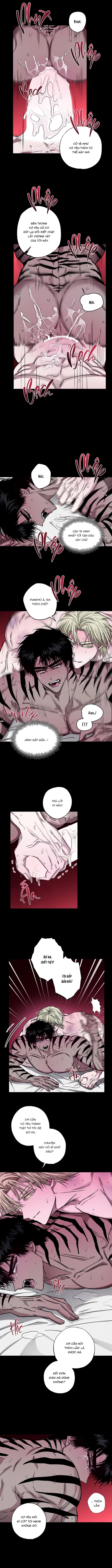 Mây Theo Rồng, Gió Theo Hổ Chapter 6 H++ - Trang 2