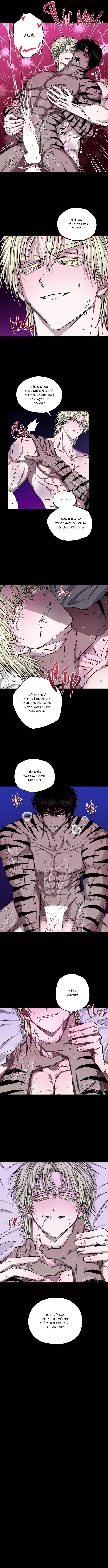 Mây Theo Rồng, Gió Theo Hổ Chapter 6 H++ - Trang 2