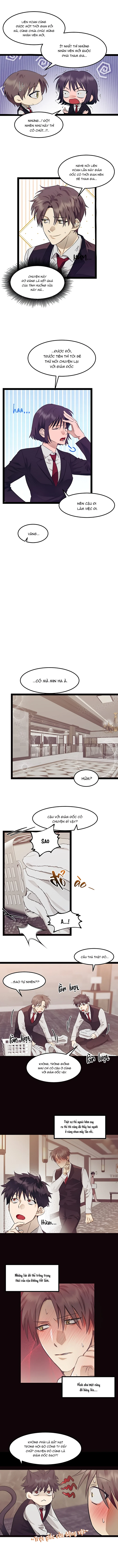 Người Khuân Hành Lý Của Riêng Tôi Chapter 5 H - Trang 2