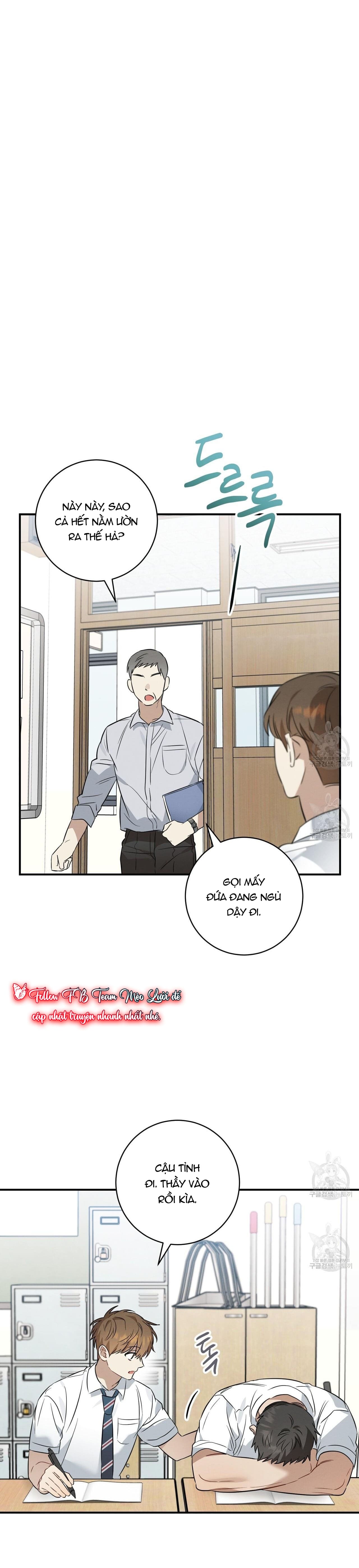 Mận Ngọt Tình Yêu Chapter 21 - Trang 2