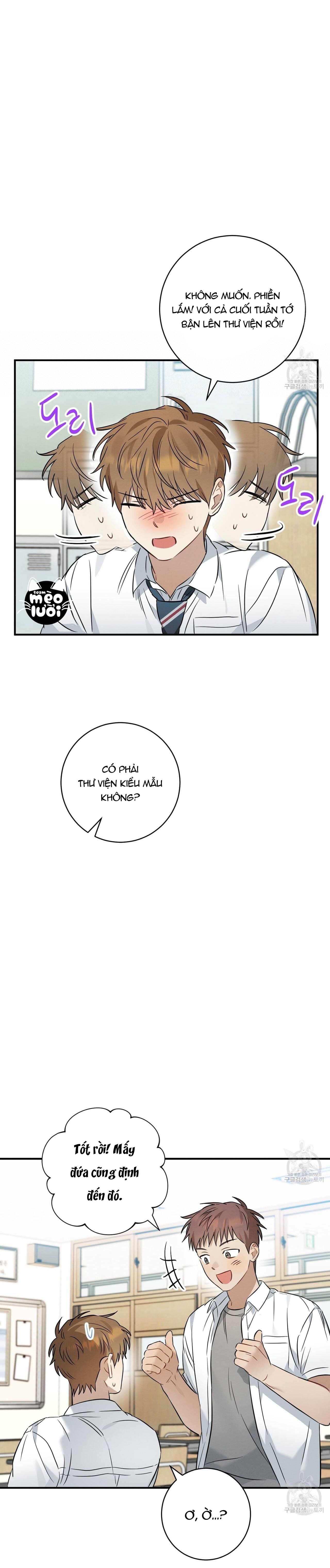 Mận Ngọt Tình Yêu Chapter 21 - Trang 2