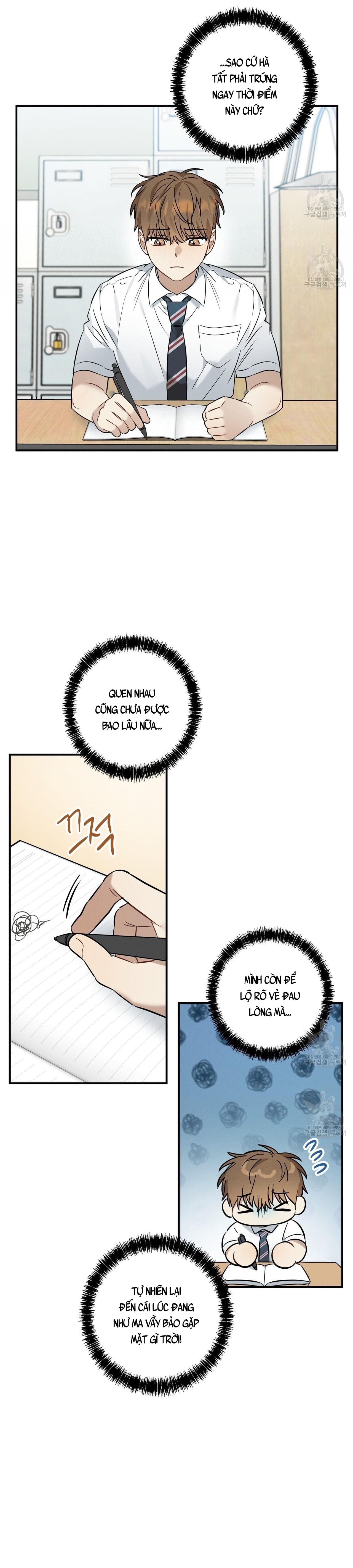 Mận Ngọt Tình Yêu Chapter 21 - Trang 2