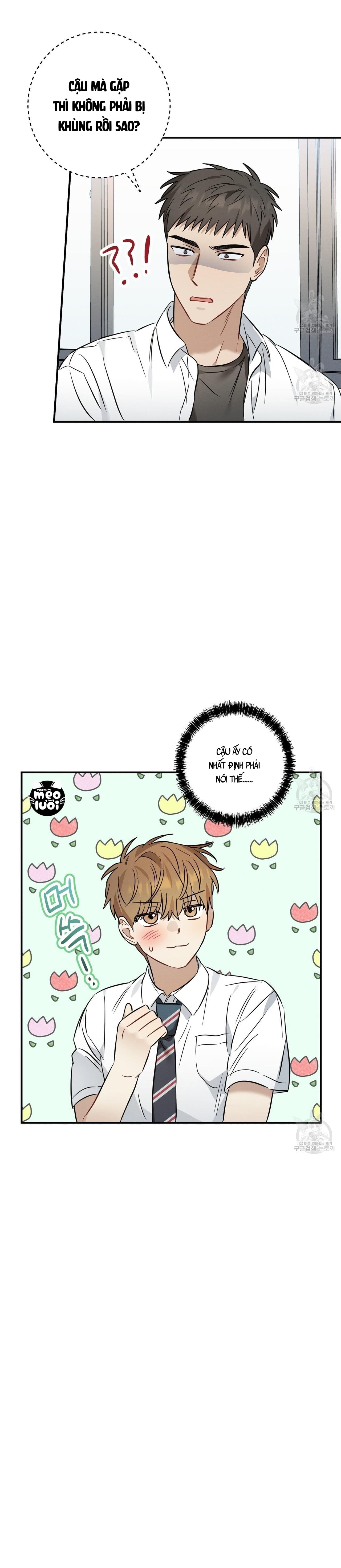 Mận Ngọt Tình Yêu Chapter 21 - Trang 2