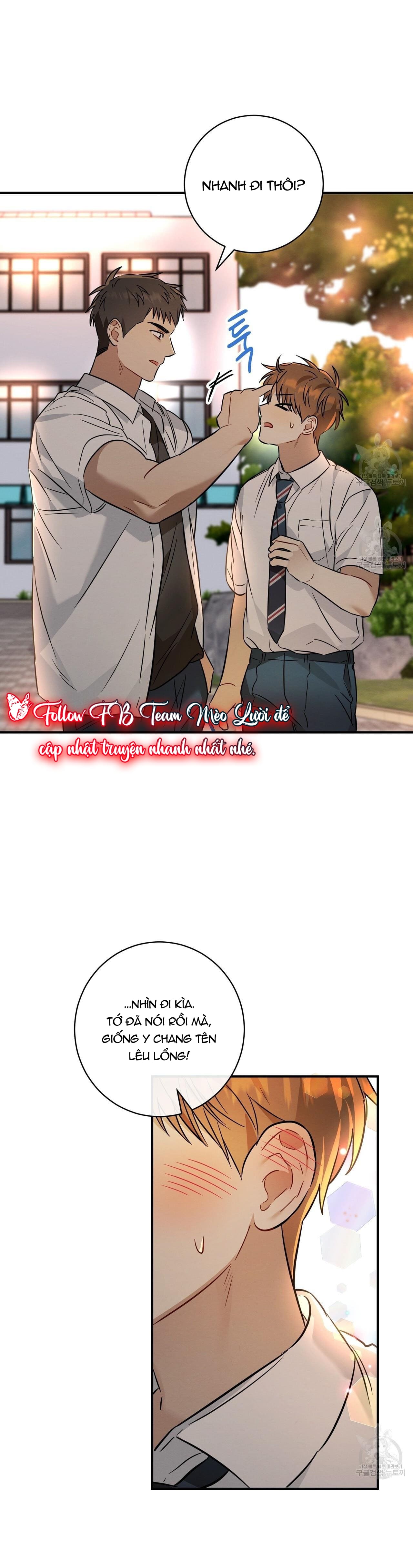 Mận Ngọt Tình Yêu Chapter 21 - Trang 2