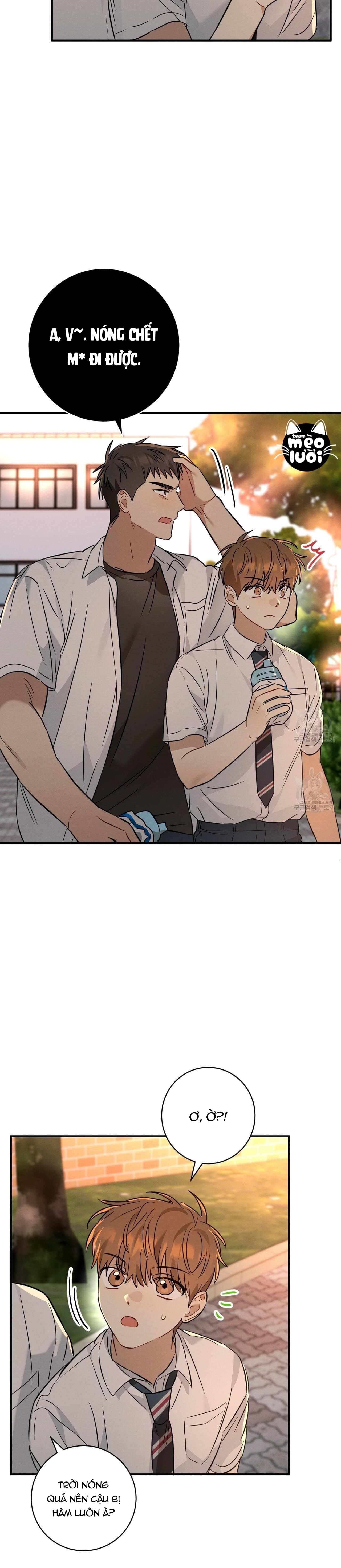 Mận Ngọt Tình Yêu Chapter 21 - Trang 2
