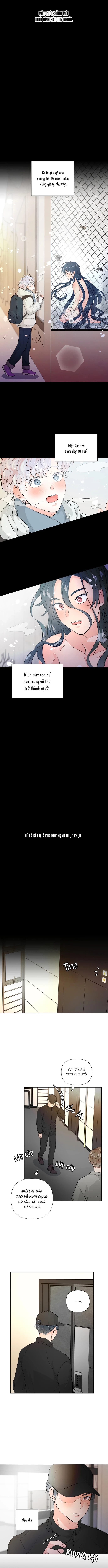 Chiếc Bánh Sinh Nhật Của Hổ Chapter 1 - Trang 2