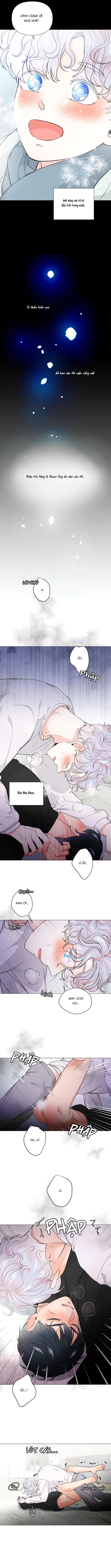 Chiếc Bánh Sinh Nhật Của Hổ Chapter 2 H - Trang 2