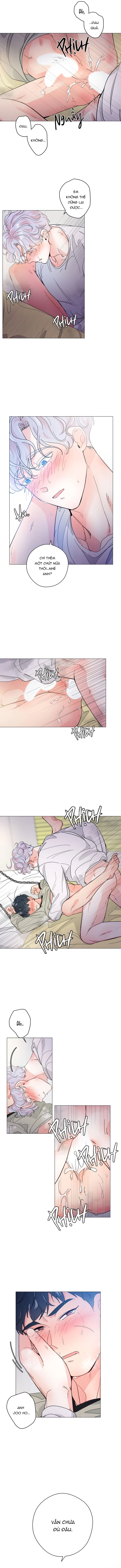 Chiếc Bánh Sinh Nhật Của Hổ Chapter 3 H+ - Trang 2