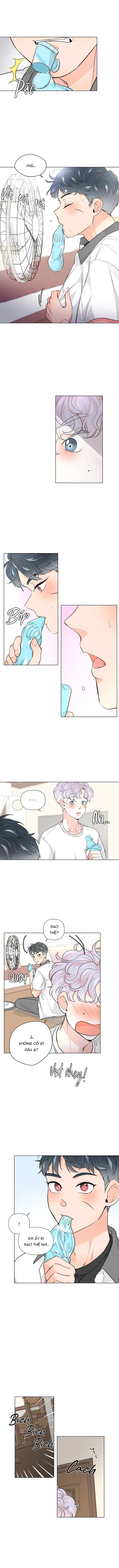 Chiếc Bánh Sinh Nhật Của Hổ Chapter 4 - Trang 2