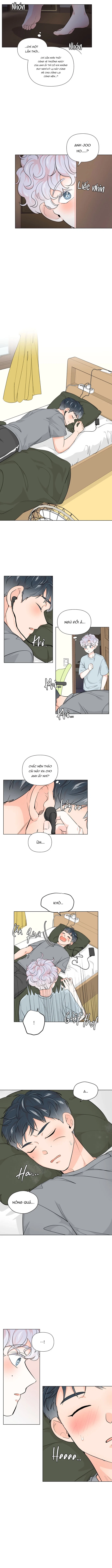 Chiếc Bánh Sinh Nhật Của Hổ Chapter 4 - Trang 2