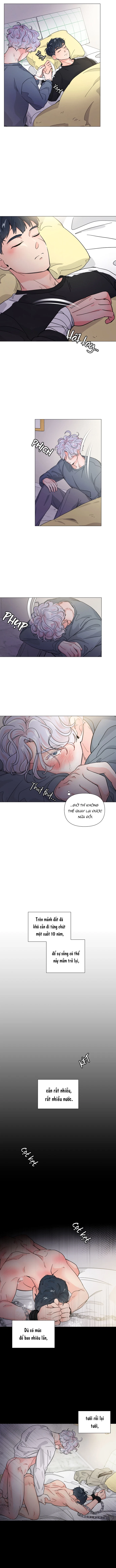 Chiếc Bánh Sinh Nhật Của Hổ Chapter 5 H+ - Trang 2