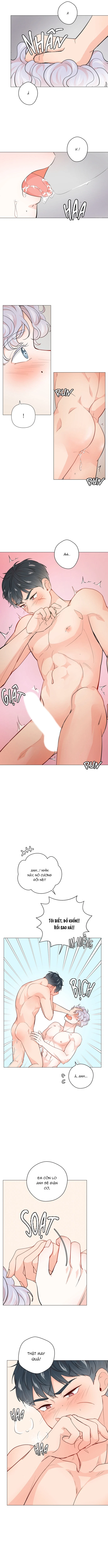 Chiếc Bánh Sinh Nhật Của Hổ Chapter 9 H++ - Trang 2