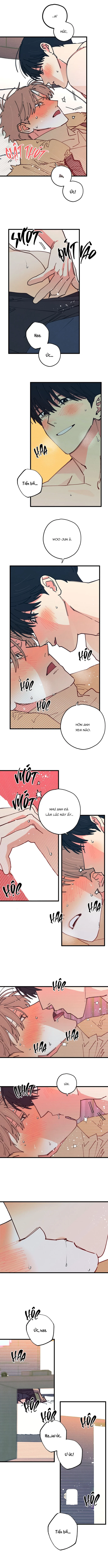 Yêu Tất Cả Mọi Thứ Chapter 10 H - Trang 2