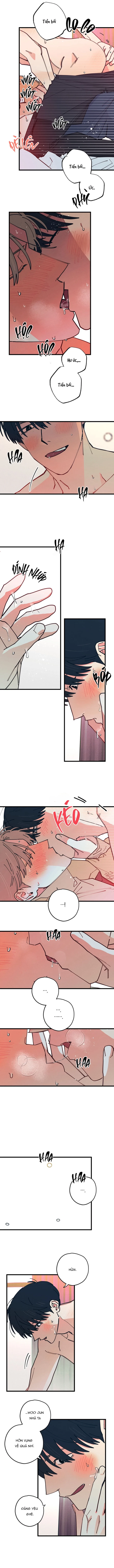 Yêu Tất Cả Mọi Thứ Chapter 10 H - Trang 2