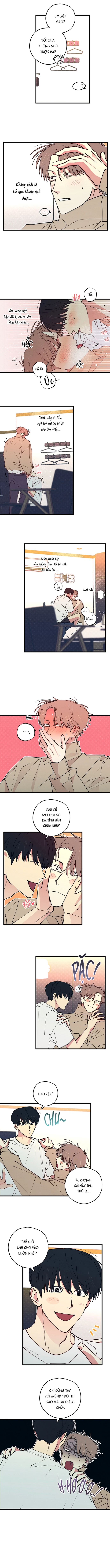 Yêu Tất Cả Mọi Thứ Chapter 11 - Trang 2