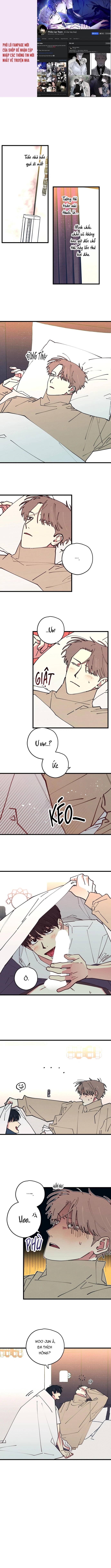 Yêu Tất Cả Mọi Thứ Chapter 11 - Trang 2