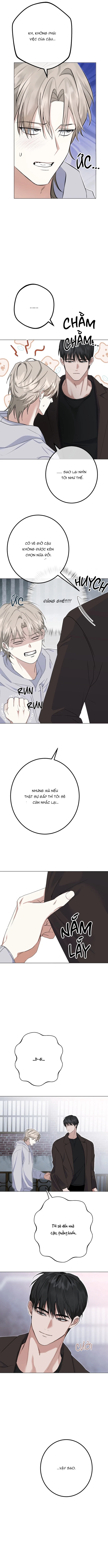 Kiểm Soát, Ám Ảnh, Tình Yêu Chapter 4 - Trang 2