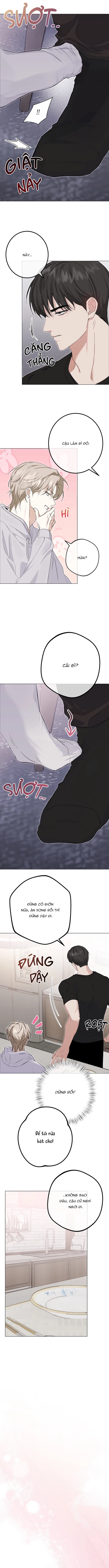 Kiểm Soát, Ám Ảnh, Tình Yêu Chapter 4 - Trang 2