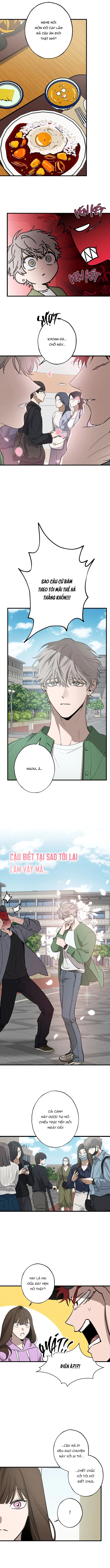 Đừng Ném Đá Dò Đường Chapter 3 - Trang 2