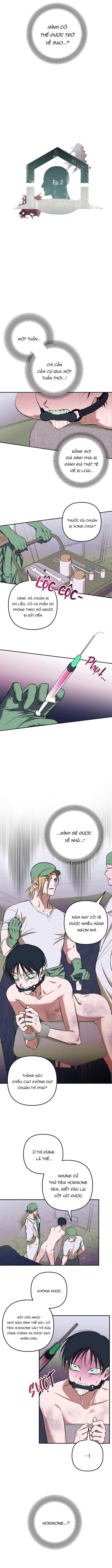 Khai Báo Gia Súc Người Chapter 2 H+ - Trang 2