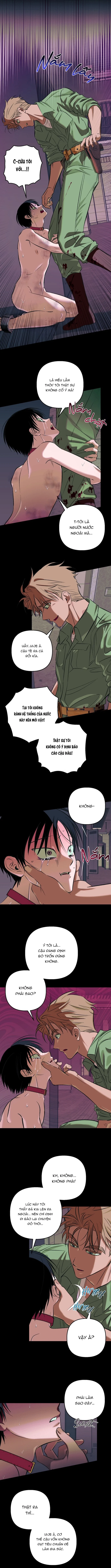 Khai Báo Gia Súc Người Chapter 4 H++ [END] - Trang 2
