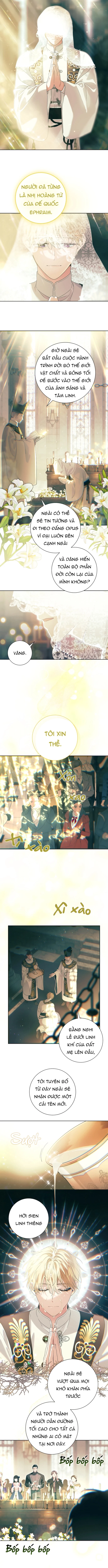 PATERA Chapter 1 PREVIEW - Next Chapter 2