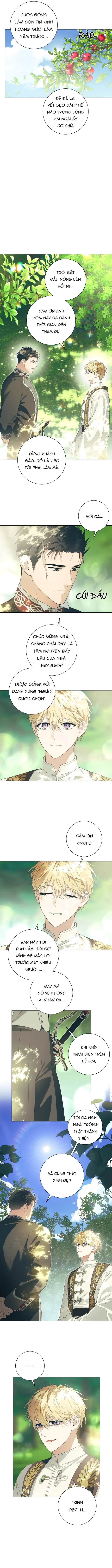 PATERA Chapter 1 PREVIEW - Next Chapter 2