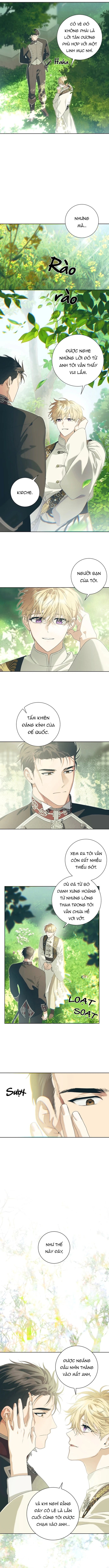 PATERA Chapter 1 PREVIEW - Next Chapter 2