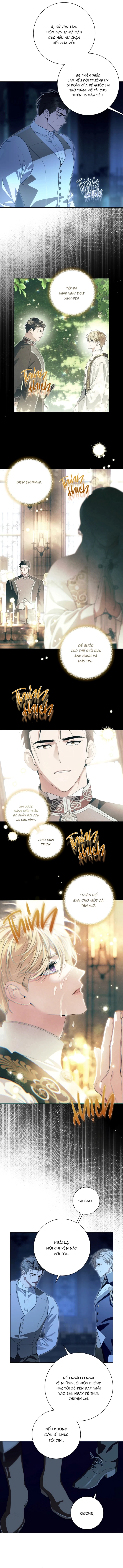 PATERA Chapter 2 - Next Chapter 3 H+