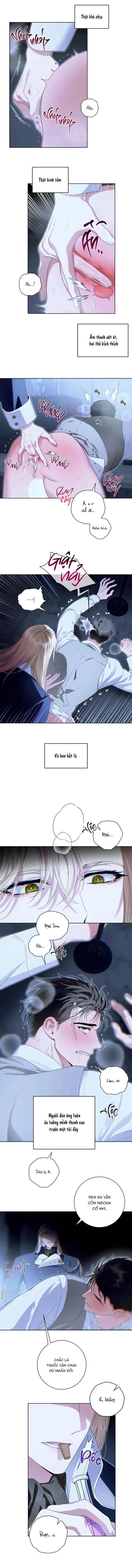 PATERA Chapter 3 H+ - Next Chapter 4 H++