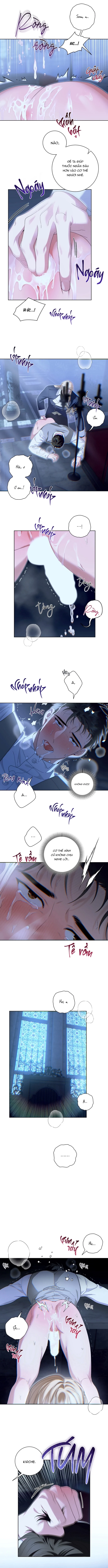 PATERA Chapter 3 H+ - Next Chapter 4 H++
