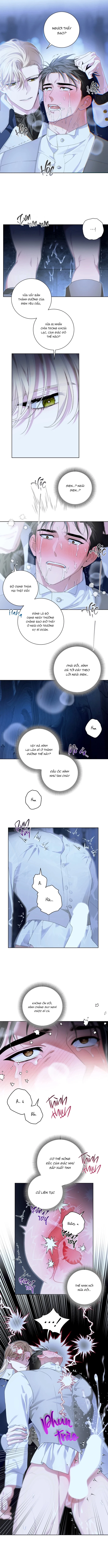 PATERA Chapter 3 H+ - Next Chapter 4 H++