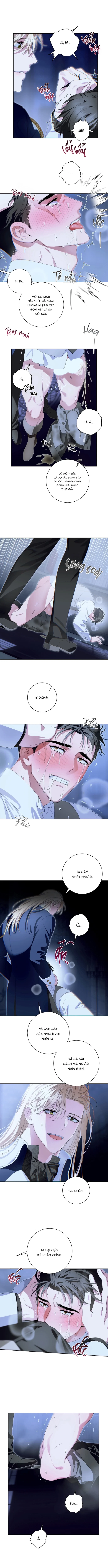 PATERA Chapter 3 H+ - Next Chapter 4 H++