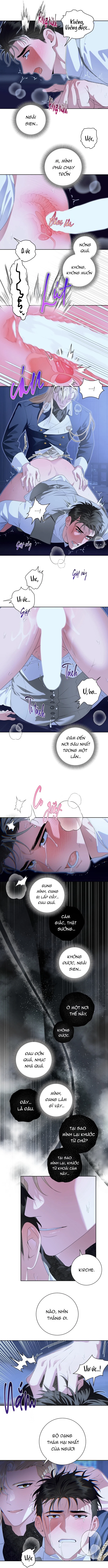 PATERA Chapter 4 H++ - Next Chapter 5 H++