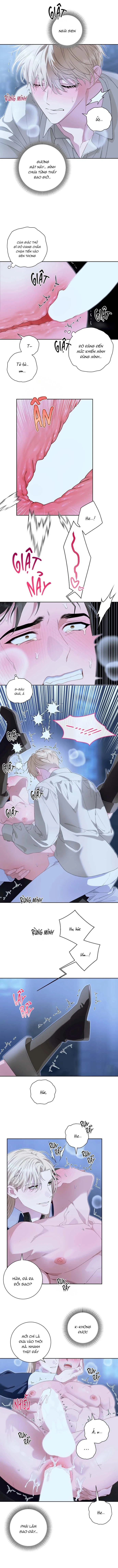 PATERA Chapter 6 H++ - Next 