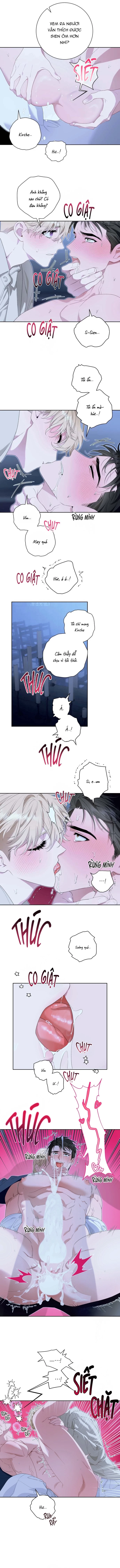 PATERA Chapter 6 H++ - Next 