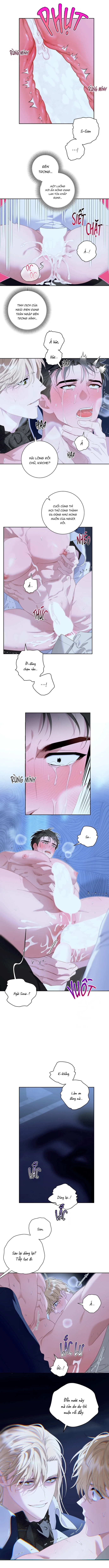 PATERA Chapter 6 H++ - Next 