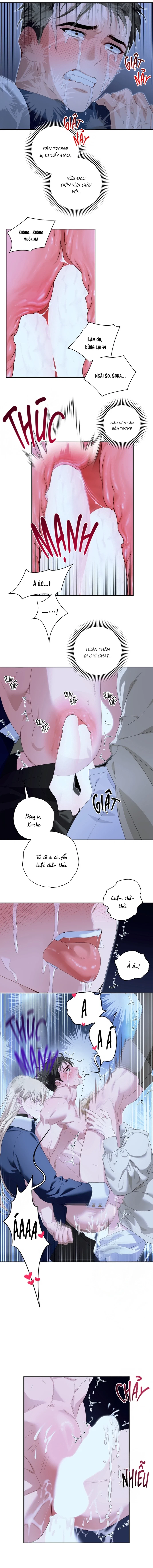 PATERA Chapter 6 H++ - Next 