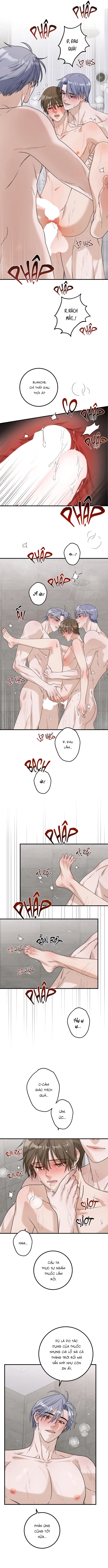 Biến Đổi Chapter 6 H++ - Next Chapter 7 H