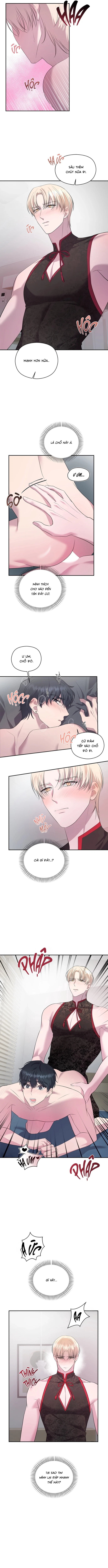 Đã Giả Gái Thì Đâu Phải Chỉ Làm Maid Chapter 4 H+ - Trang 2