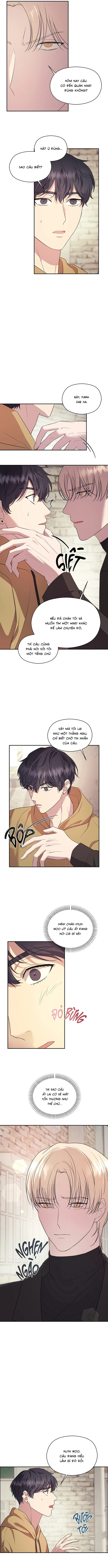 Đã Giả Gái Thì Đâu Phải Chỉ Làm Maid Chapter 5 - Trang 2