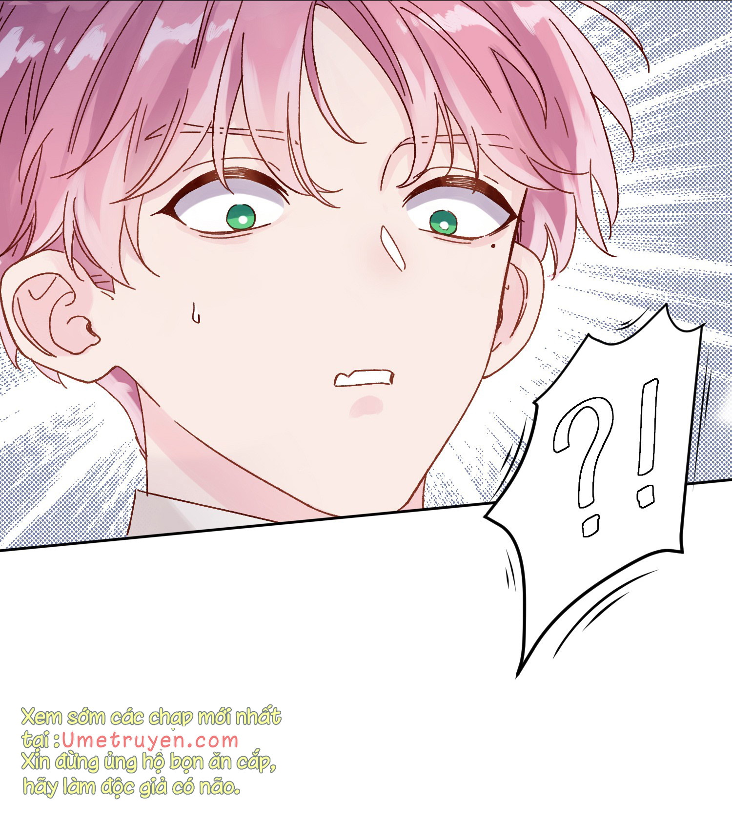 Tôi Phải Làm Một Kẻ Đại Xấu Xa Chapter 2 - Trang 4