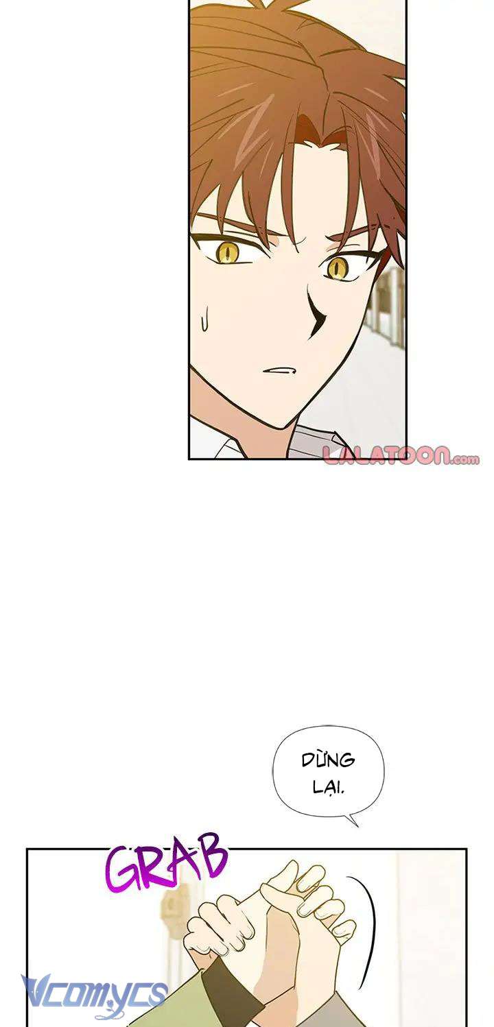 Điều Ước Sao Băng Chap 56 - Next Chap 57