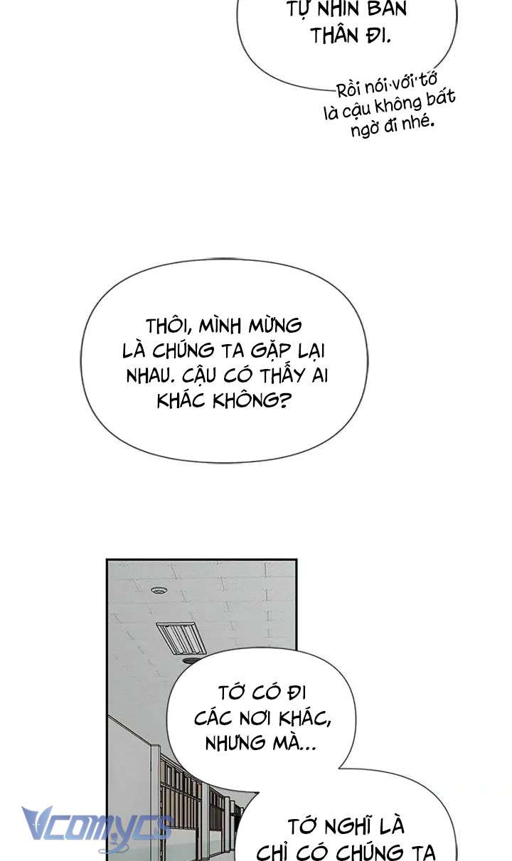 Điều Ước Sao Băng Chap 46 - Next Chap 47