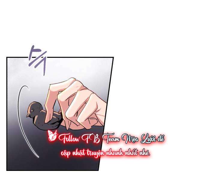 Rosaline Bogart Chap 4 - Next 